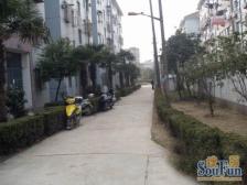 满伍1/2维壹+两房朝南南北通+看房方便+价格可谈!!!