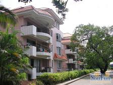 精装修自住+满伍维壹税费少+两房朝南南北通+看房方便