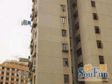 双阳路50弄 1室1厅 东南