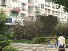 文治福邸2室西朝向555.00万元/套出售