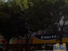 精装修大三房,非顶楼,看房方便!