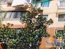 淮海路电梯小高层,高区采光视野无遮挡,得房率高。