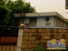 房型方正,南北通,采光好,业主自住精装,诚意出售。