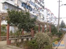 惠德新邨1室1厅南