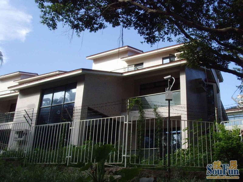 别名:金碧苑一期