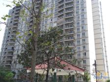 龙头寺 邦兴佳苑二房100万