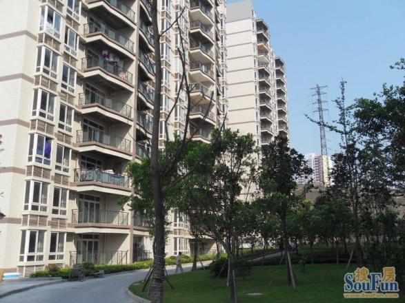 邦兴佳苑实景图