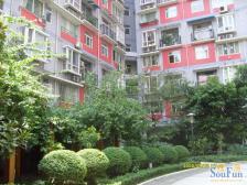 黄泥磅顶跃,环境幽雅,通风采光好,近轻轨近公交。