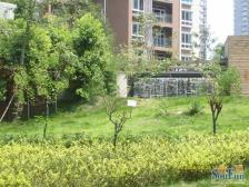 黄泥磅 维丰星寓二房90万