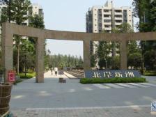 北部新区 北岸新洲三房97万