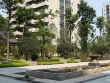 北岸新洲公园旁近轻轨和商场有星光通车库视野好