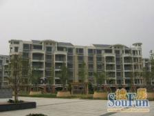 精装修+电梯大三房+靠安亭老街