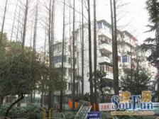 三个天井已搭好,使用面积100平精装修,拎包入住。