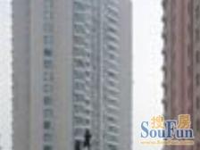 价格好谈,环境优美,品质小区,业主急售