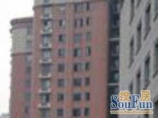 内环内 高品质小区 低总价小高层电梯房