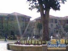 高品质别墅小区环境好东南环河管理好户型好方正