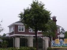 建德南郊独栋别墅小区,16号线商圈,花园1200平