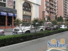 新华豪庭 3室2厅 东 南