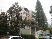 仙霞·大金更小区·1室·2厅