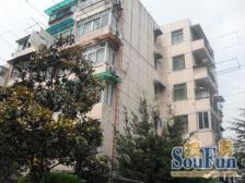 楼层好+双轨交汇+视野佳+电梯房+诚意出售+全明户型