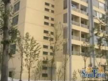 碧海现代苑 2室1厅 南 北