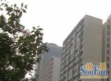 金桥·碧海现代苑·1室·1厅