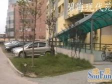 碧海现代苑 1室1厅 北