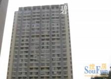 碧海现代苑1室1厅北