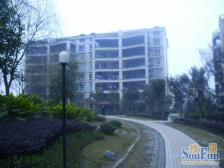 林庄户型方正三房双卫中间楼层业主住家装修房