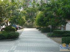 明华龙洲半岛 3室2厅 南