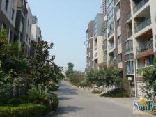 龙洲湾 明华龙洲半岛五房150万