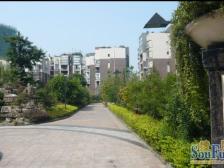 龙洲湾 明华龙洲半岛一房27万