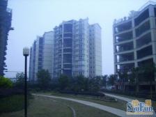 户型楼层好,全新现代装修,拎包入住