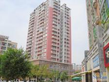 老城小区房,环境优雅,小区绿化多,出行方便