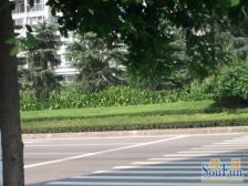 重庆北站旁,小高层小区,可以做旅馆