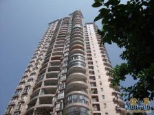 双轻轨 大一房 近商圈 视野好