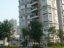 龙洲湾正规三房双卫,无抵押,视野开阔,采光好