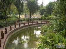 鱼洞 假日滨江花园鹭岛纯水岸二房