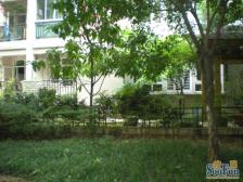 鱼洞 假日滨江花园鹭岛纯水岸一房