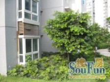 花溪,豪华装修,视野开阔无遮挡,安心出售,欢迎实地看房