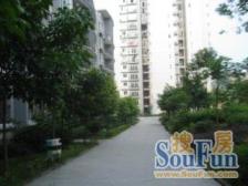 李家沱 阳光九里二房51.5万