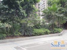 :弹子石正2房,近地铁,楼层合适,,采光好.