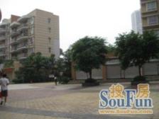 新尚城 3室1厅 东