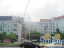 典雅森林花园 3室2厅 东南