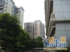 岔路口轻轨站旁,精装三室两厅两卫诚心出售,随时看房