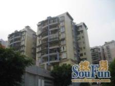 典雅森林花园 3室1厅 东