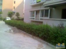 正规三室带阳台带CC出脚方便拎包入住