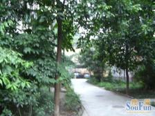 杨公桥 枫里金星花园(金星花园1-7号)二房50万