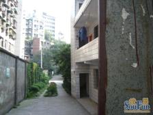 金星花园 2室1厅 南