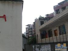 杨公桥 金星花园松里组团(童家桥正街175号)二房37万